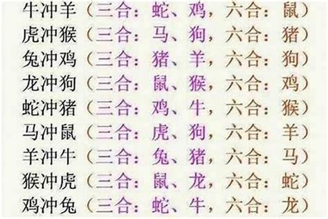 什么是六合|《易经》十二生肖三合、六合解析！